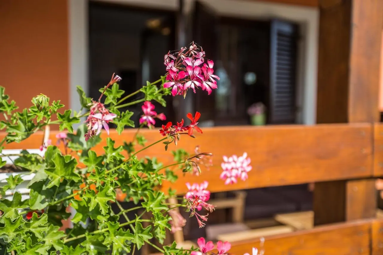 Cozy Villa Sejdi With Private Pool In Pula By Wiibuk